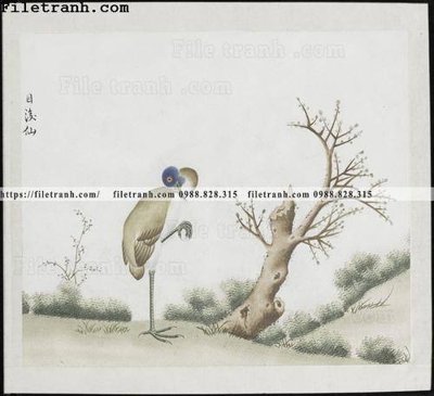 File ảnh buc anh hoa co chim muong mau sac nhe nhang 325 (gốc) in decal dán tường