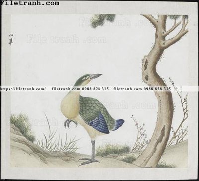 Tải file buc anh hoa co chim muong mau sac nhe nhang 327 (ảnh gốc) in tráng gương