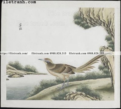 File tranh buc anh hoa co chim muong mau sac nhe nhang 354 (gốc) chủ đề tĩnh vật