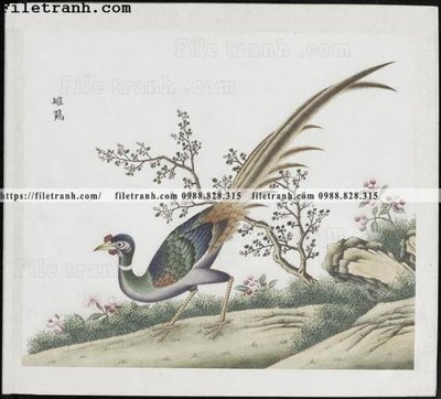 File gốc buc anh hoa co chim muong mau sac nhe nhang 355 (in tráng gương) nghệ thuật