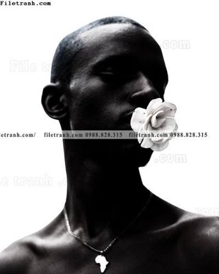 File PSD buc anh ve nguoi 522 (bản gốc) cho nhà in