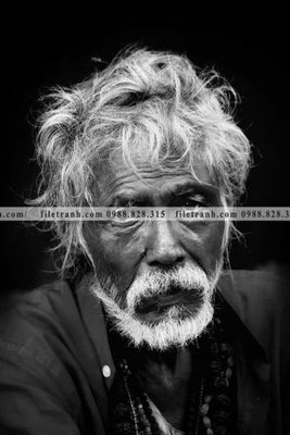 File in ấn buc anh ve nguoi 530 chuyên nghiệp