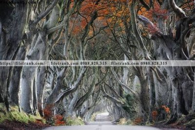 File tranh buc anh ve nguoi chup 542 (gốc) chủ đề trẻ em