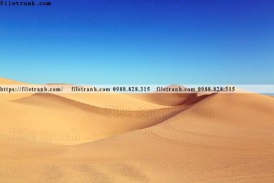 File tranh buc anh ve nguoi chup 545 (gốc) in film