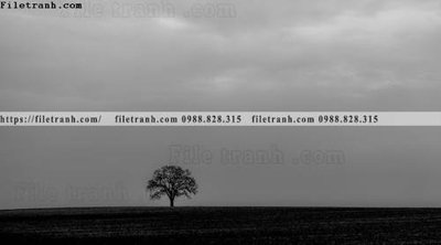 Hình ảnh file gốc buc anh ve nguoi chup 563 (chất lượng cao)