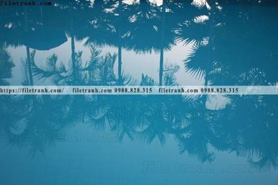 File gốc buc anh ve nguoi chup 566 (ảnh chi tiết) để in lụa