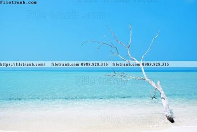 File tranh buc anh ve nguoi chup 568 (ảnh gốc) chi tiết rõ ràng