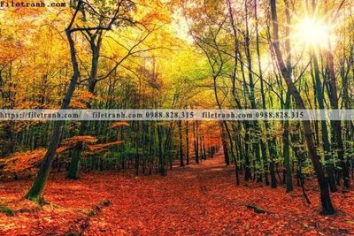 File in lụa buc anh ve nguoi chup 588 (hoa văn) buc anh ve nguoi chup 588