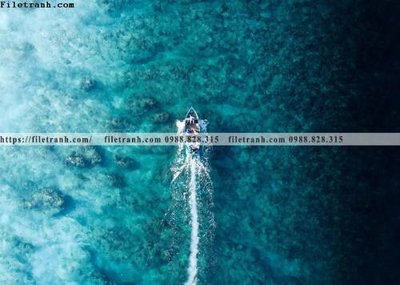 Tải xuống file tranh gốc buc anh ve nguoi chup 634 (PSD/TIFF)