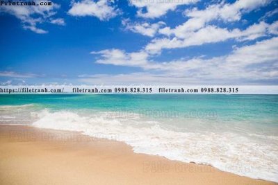 File tranh buc anh ve nguoi chup 650 (gốc) chủ đề con người