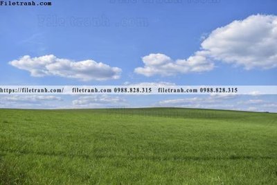 Hình ảnh gốc buc anh ve nguoi chup 660 (để in khổ lớn)