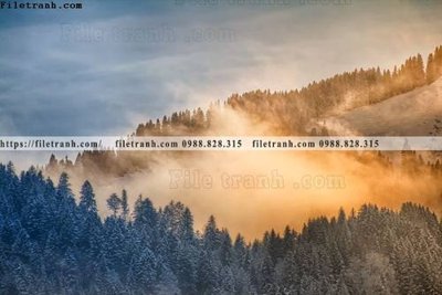 File tranh buc anh ve nguoi chup 669 (ảnh gốc) in trần 3D