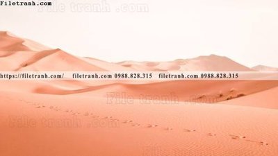 File tranh buc anh ve nguoi chup 691 (bản gốc) trang trí văn phòng