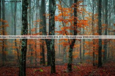 Tải file buc anh ve nguoi chup 709 (gốc) in trên mọi chất liệu