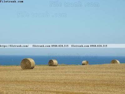 File gốc buc anh ve nguoi chup 720 (in lụa) họa tiết 3D