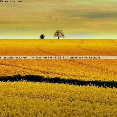 File tranh quảng cáo buc anh ve nguoi chup 722 (download file gốc)