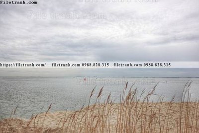 Tải file gốc buc anh ve nguoi chup 737 (in khổ lớn) không mờ