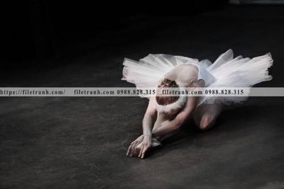 File ảnh buc anh ve nguoi chup 751 (gốc) in Hiflex