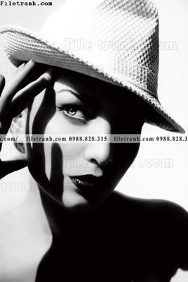 Download file gốc buc anh ve nguoi chup 799 (in lụa) tranh 3D