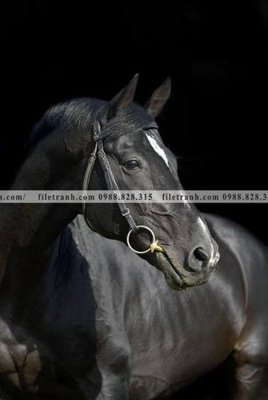 File gốc buc tranh 1 con ngua son dau dep 500 (phong cách) cổ điển