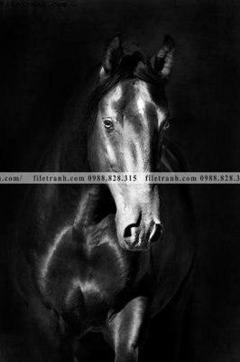 Tải file gốc buc tranh 1 con ngua son dau dep 506 (in khổ lớn) không mờ