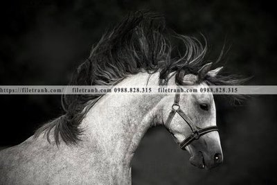 File tranh buc tranh 1 con ngua son dau dep 507 (bản gốc) treo tường