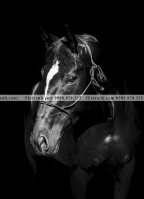 Tải file buc tranh 1 con ngua son dau dep 510 (ảnh gốc) in gạch men