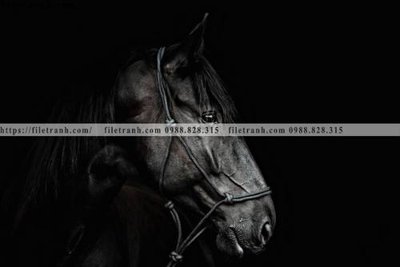 Tải file buc tranh 1 con ngua son dau dep 517 (gốc) chủ đề phong thủy