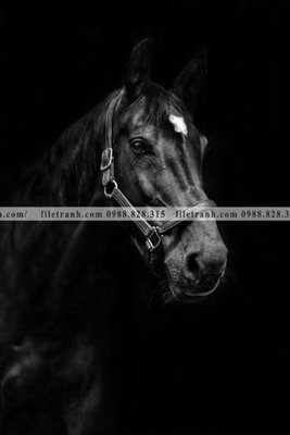 File tranh buc tranh 1 con ngua son dau dep 520 (ảnh gốc) in trần xuyên sáng