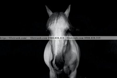 Tải file gốc buc tranh 1 con ngua son dau dep 525 (bản PSD) đầy đủ layer