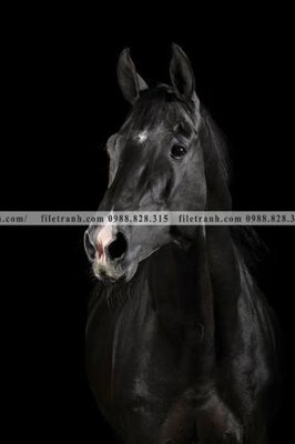 Tải file buc tranh 1 con ngua son dau dep 533 (gốc) làm tranh trang trí