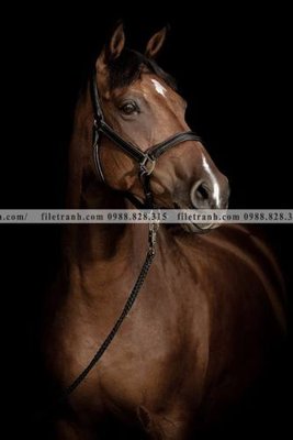 Tải file buc tranh 1 con ngua son dau dep 535 (gốc) in ấn ngay lập tức