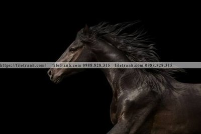 File PSD buc tranh 1 con ngua son dau dep 540 (chất lượng in ấn)