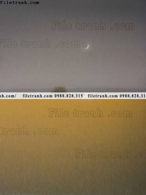 File ảnh buc tranh khoi mau cuc truu tuong 621 (gốc) cho trang trí nhà hàng