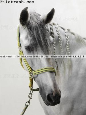 File tranh buc tranh ngua den trang 105 (bản gốc) treo tường