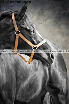 File in lụa buc tranh ngua den trang 128 (hoa văn) buc tranh ngua den trang 128