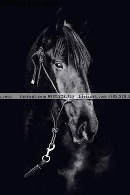 File gốc buc tranh ngua den trang 129 (vector) cho in ấn