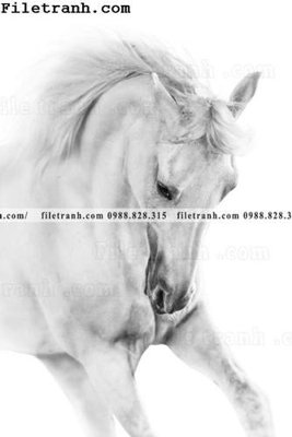 Download file buc tranh ngua den trang 132 (chuẩn in) chất lượng cao