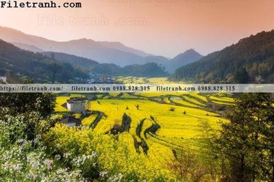 File tranh gốc in trần nhà buc tranh phong canh nong thon 152 3D