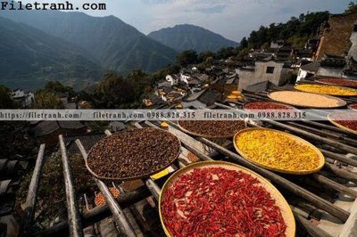 Download file gốc buc tranh phong canh nong thon 198 (in mica) logo