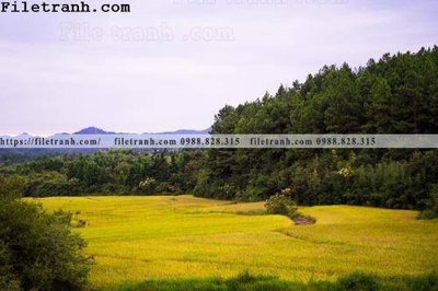 File tranh quảng cáo buc tranh phong canh nong thon 239 (download file gốc)