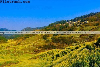 File PSD buc tranh phong canh nong thon 253 (nguyên gốc) chất lượng cao