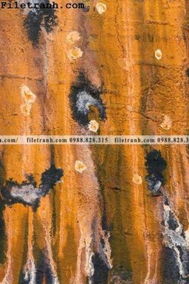 Download file buc tranh truu tuong chat long 152 (gốc) in mica ốp bếp