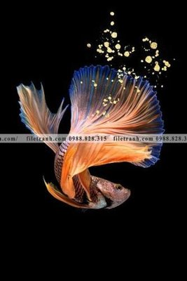 File ảnh ca vang mau sac sang trong nhe nhang 106 (gốc) in backdrop sự kiện