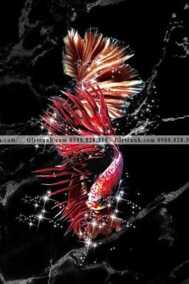 Tải file ca vang mau sac sang trong nhe nhang 108 (gốc) làm file in ấn