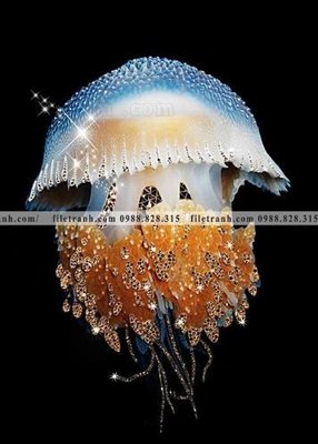 Hình ảnh file gốc ca vang mau sac sang trong nhe nhang 145 (chất lượng cao)