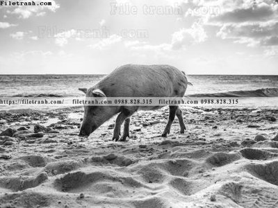 Download file gốc can canh chup anh dong vat den trang 230 (in lụa) hoa lá