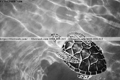 Tải file can canh chup anh dong vat den trang 255 (gốc) chủ đề tâm linh