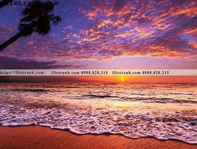 Mua file gốc canh hoang hon tren bien 102 (PSD) tại Filetranh.com