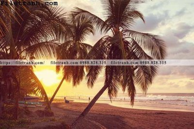 File gốc canh hoang hon tren bien 103 (dành cho quảng cáo)